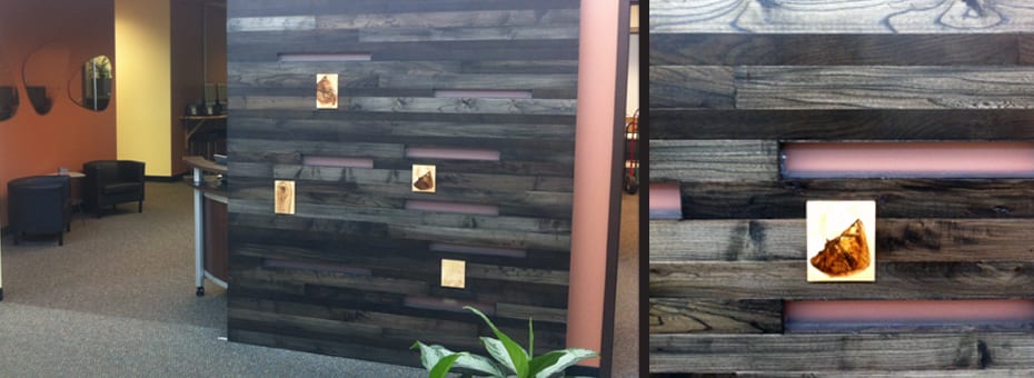 Urban Wood Bard Door - Mpls Park Board