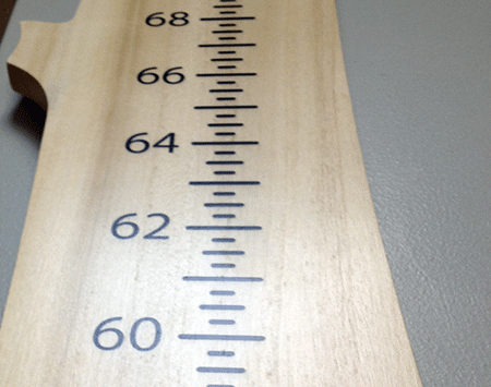 Growth Chart Finished Basswood Recycled Wood From the Hood