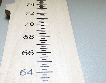 Recycled Growth Chart Wood From the Hood Unfinished
