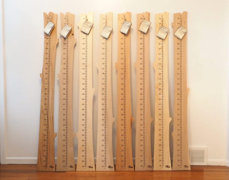 Growth Chart Elm Unfinished Wood From The Hood