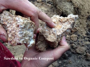 sawdust to organic compost wood from the hood mississippi mushrooms