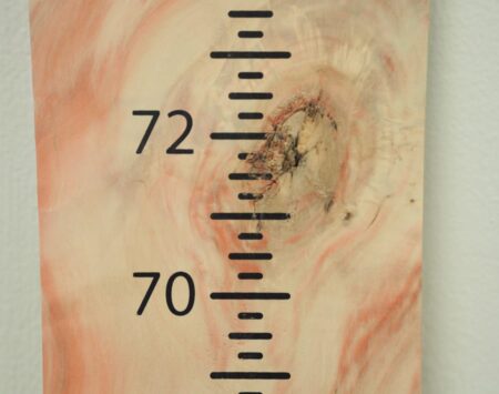 Growth Chart - Boxelder - Unfinished