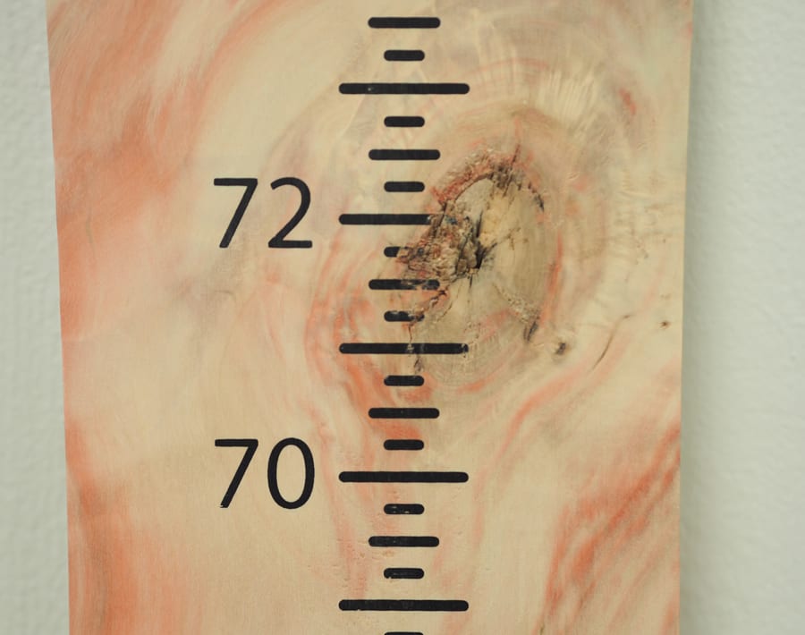 Growth Chart Boxelder Unfinished Wood From The Hood