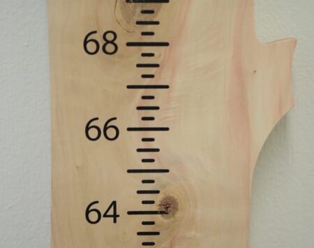 Growth Chart - Boxelder - Unfinished