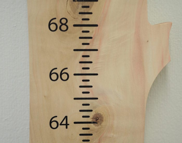 Growth Chart Boxelder Unfinished Wood From The Hood