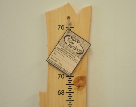Growth Chart - Pine - Finished