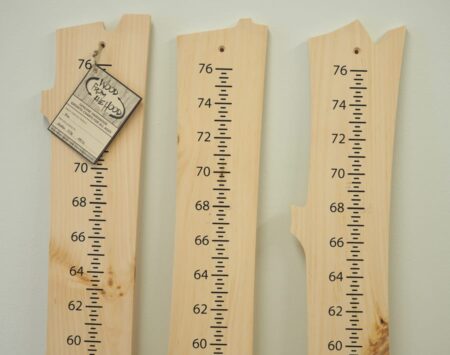 Growth Chart - Pine - Unfinished