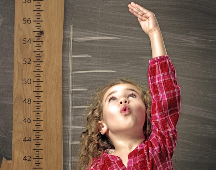 Growth Chart White Oak Unfinished Wood From The Hood