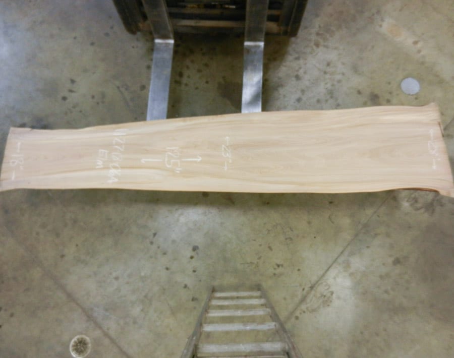 American Elm Live Edge Slab Wood From the Hood Minneapolis American Elm Live Edge Slab Wood From the Hood Minneapolis