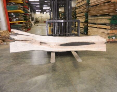 Silver Maple Live Edge Slab Wood From the Hood Minneapolis