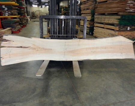 Natural Edge Slab Silver Maple Wood From the Hood Minneapolis