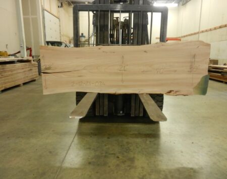 American Elm Wood Slab #2-12-21-07