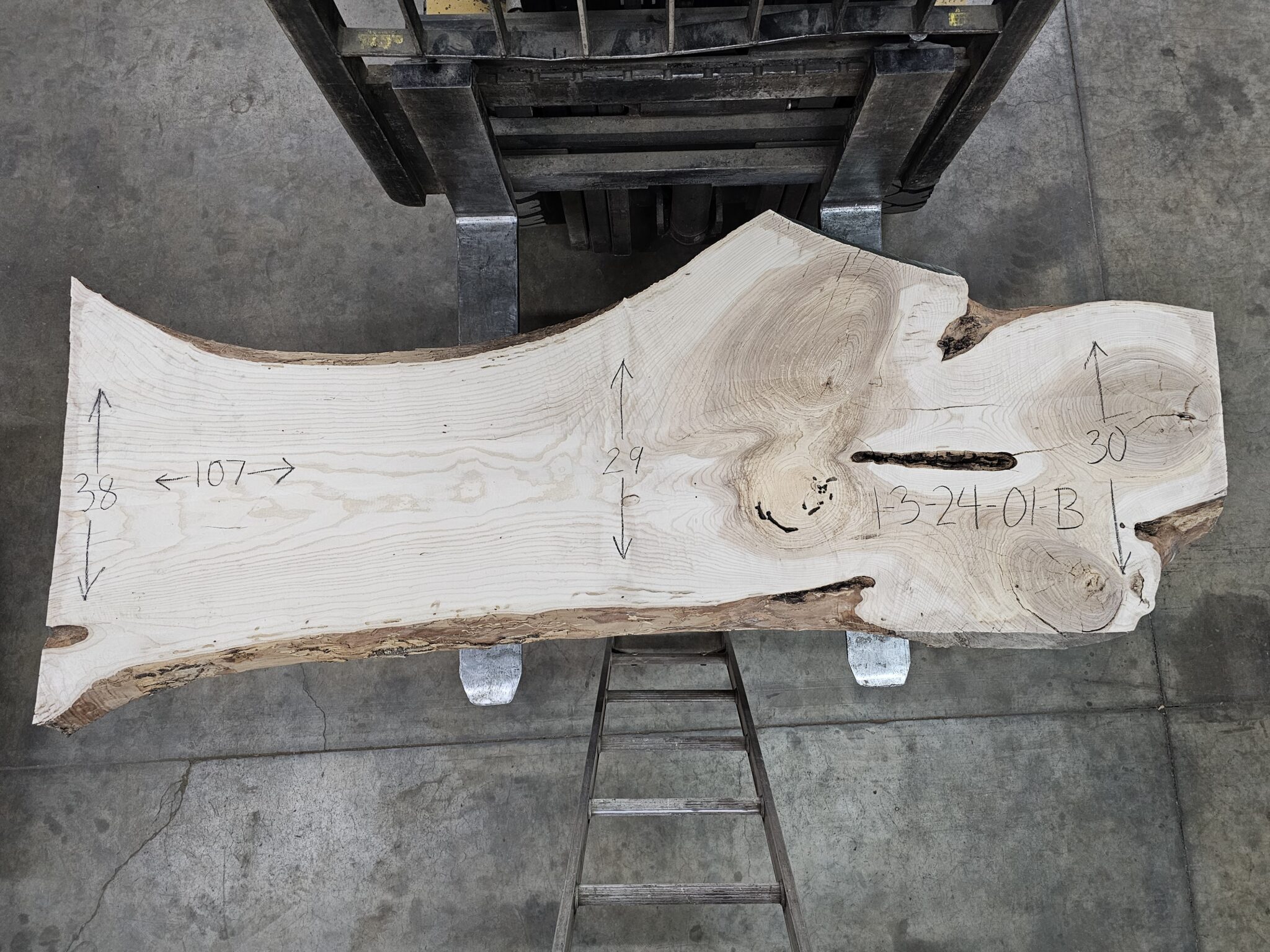 Ash Natural Edge Slab #1-3-24-01 - Wood From The Hood
