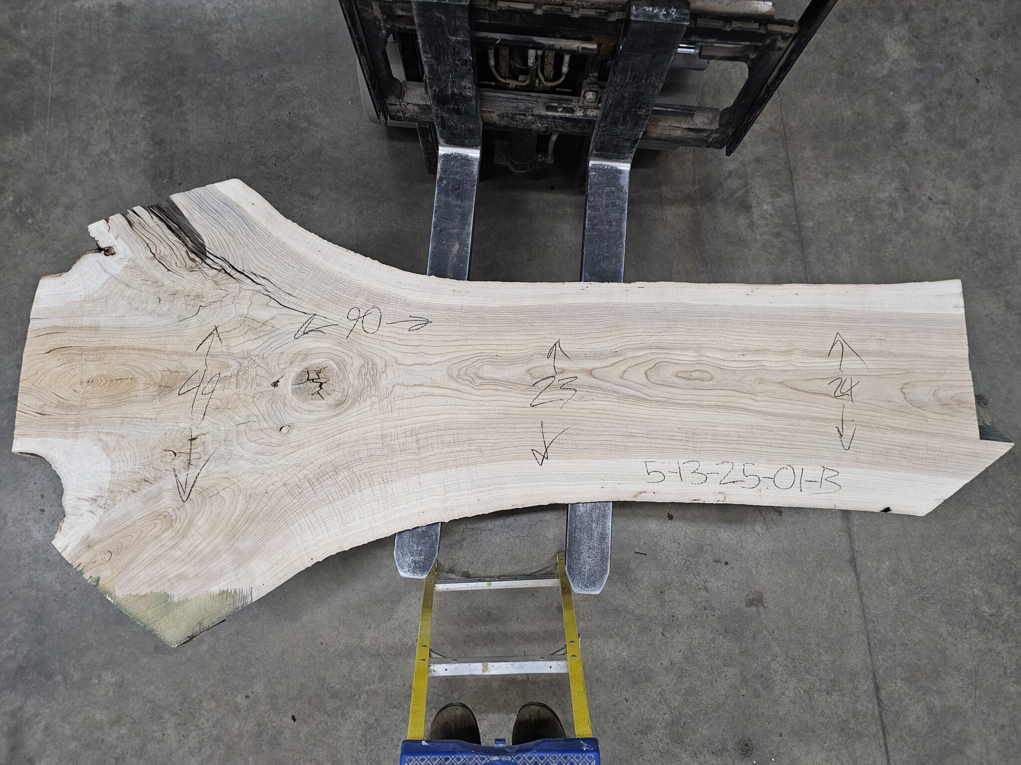 Ash Natural Edge Slab #5-13-25-01 - Wood From The Hood